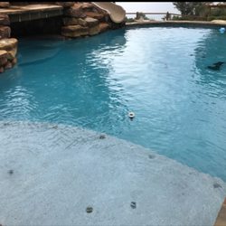Texas Pointer Pools