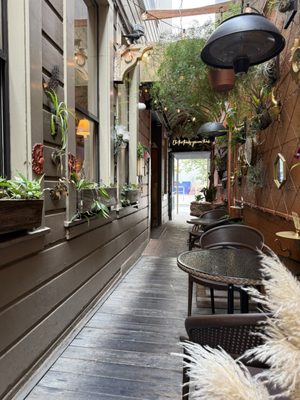 The Fly Trap by null