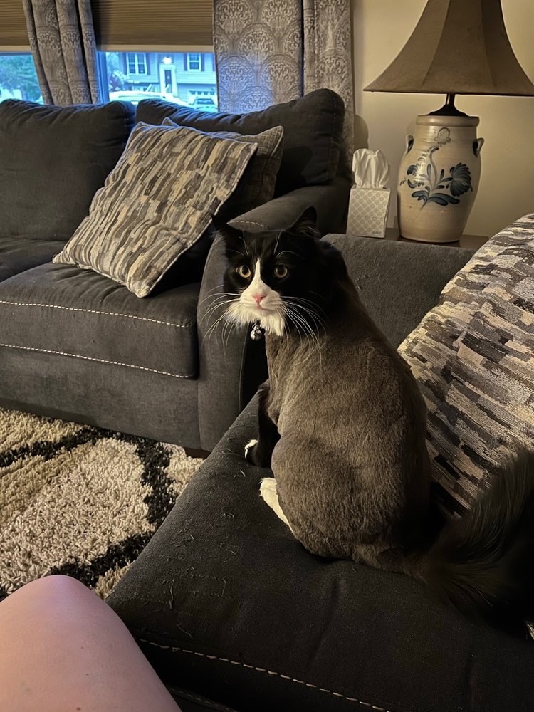 BARK AVENUE Updated April 2024 14 Photos & 13 Reviews 725 S Main