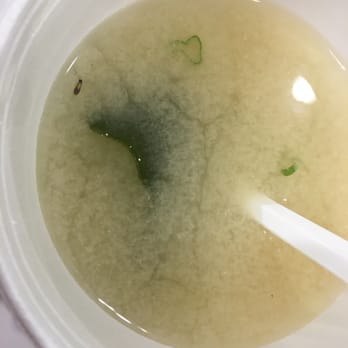 Sakura 7 - Roach in miso soup - Japanese Near Me - Maspeth, New York Sakura 7 - Roach in miso soup - Japanese Near Me - Maspeth, New York