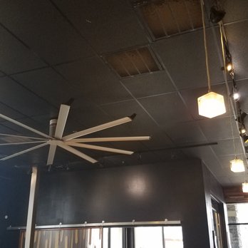 Red Kite - Coffee & Tea Near Me - Springdale, Arkansas Red Kite - Coffee & Tea Near Me - Springdale, Arkansas