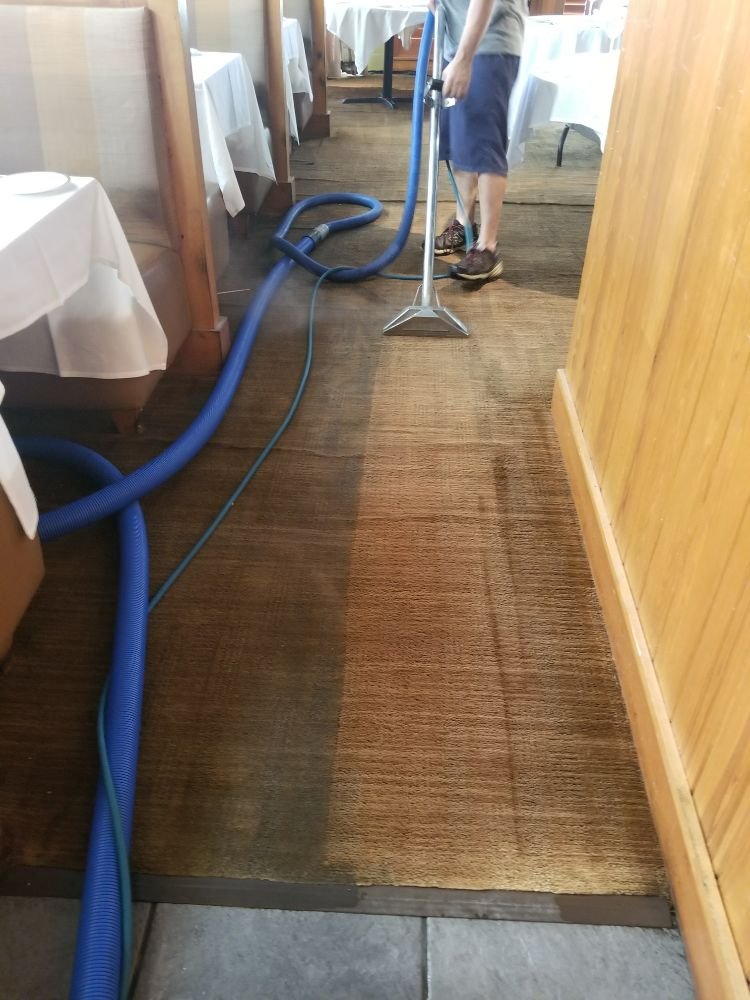 DOLPHIN CARPET CLEANING & RESTORATION Updated August 2024 106 Photos & 112 Reviews Fort
