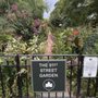 The Nora Ephron Tour