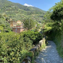 Buranco - Pathway to Buranco.