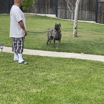 Bryan's Dog Boarding - Pet Boarding Near Me - Perris, California Bryan's Dog Boarding - Pet Boarding Near Me - Perris, California
