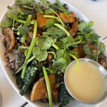 Yang’s Kitchen - Asian Fusion Near Me - Alhambra, California