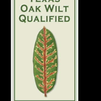 Lone Star Arborist - Tree Services Near Me - Bastrop, Texas
