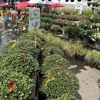 Wilson Farm - Flowers - Fruits & Veggies Near Me - Lexington, Massachusetts
