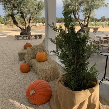 Signor Vineyards - Private event pavilion - Wine Tasting Room Near Me - Fredericksburg, Texas