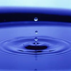 Synergy Yoga & Wellness Center - Begin your Inner Transformation