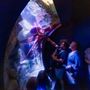Photo of Birch Aquarium