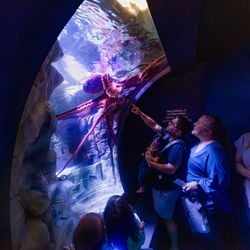 user provided Birch Aquarium photo