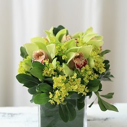 Lasting Impression