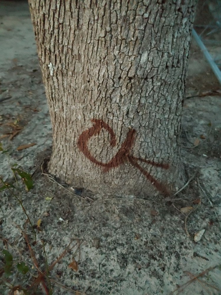 Slide of New Image Contracting