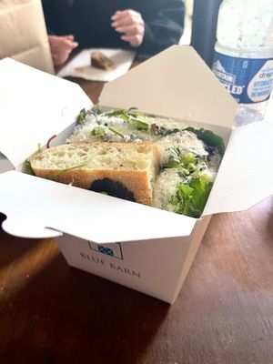 Blue Barn Steiner by null