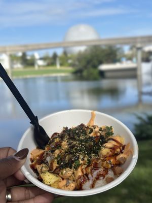 Epcot by null
