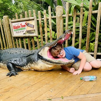 St. Augustine Alligator Farm Zoological Park - Zoos Near Me - Saint Augustine, Florida St. Augustine Alligator Farm Zoological Park - Zoos Near Me - Saint Augustine, Florida