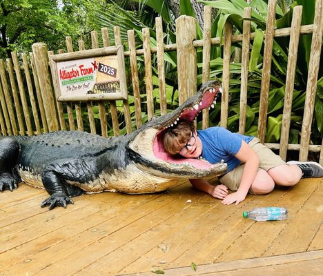 St. Augustine Alligator Farm Zoological Park by null