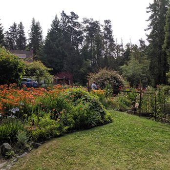 Mendocino Farmhouse - Beautiful gardens - Bed & Breakfast Near Me - Mendocino, California Mendocino Farmhouse - Beautiful gardens - Bed & Breakfast Near Me - Mendocino, California