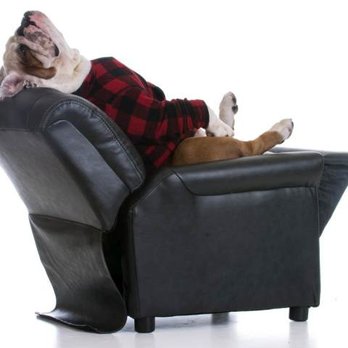 Mastertech Furniture Repair - Furniture Repair Near Me - Largo, Florida Mastertech Furniture Repair - Furniture Repair Near Me - Largo, Florida