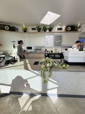 Necessity Coffee by null