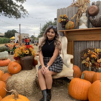 Hall's Pumpkin Farm - Props - Pumpkin Patches Near Me - Grapevine, Texas Hall's Pumpkin Farm - Props - Pumpkin Patches Near Me - Grapevine, Texas