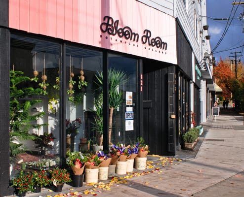 Bloom Room Botanical Gallery Inc. by null
