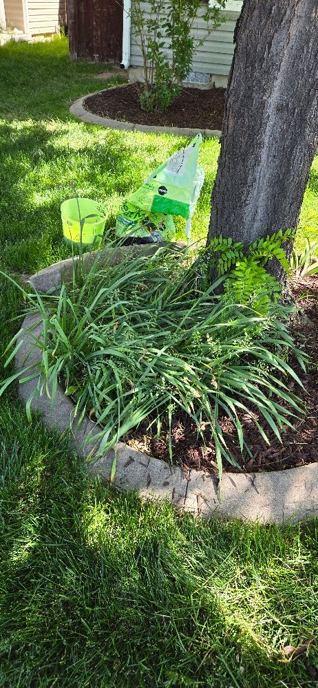 Cost Cutters Lawn Care - veterans service organization in Boise, ID