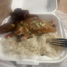 Salmon Salmon