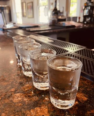 Leila by the Bay by null