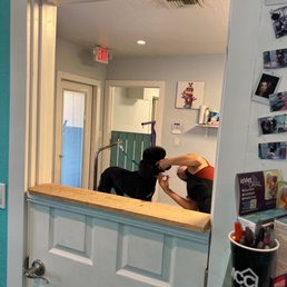 Olivia getting a haircut . Olivia getting a haircut .