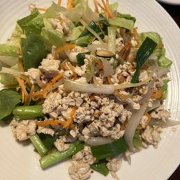 Nam Sod Salad