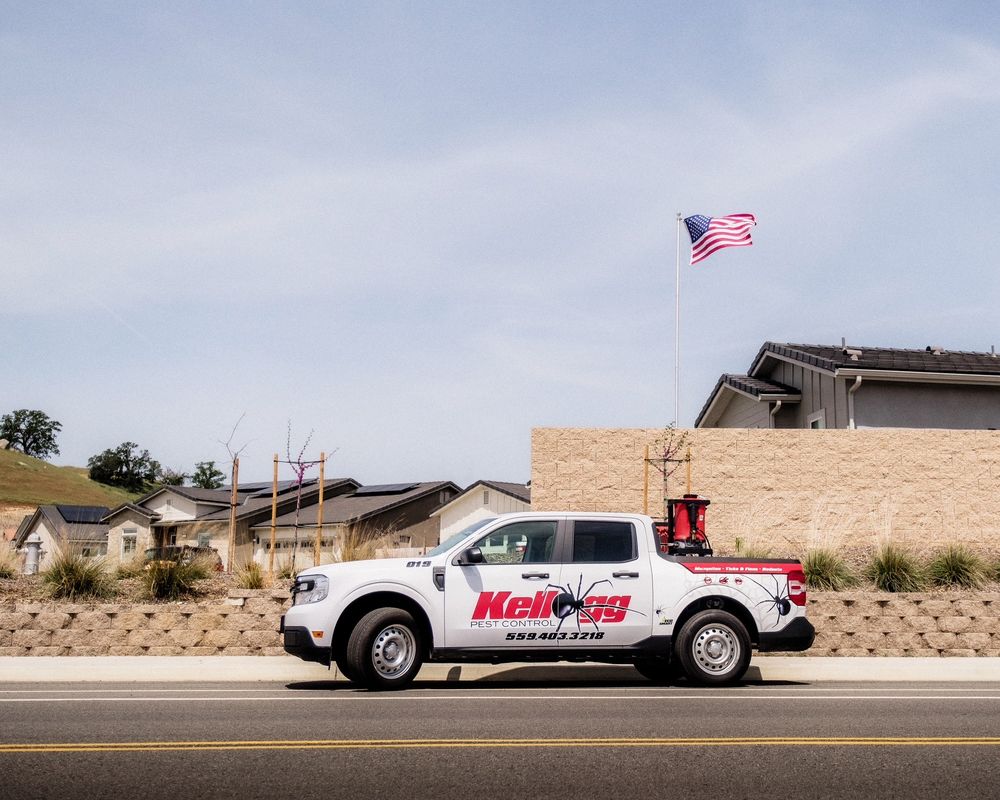 KELLOGG PEST CONTROL Updated September 2024 23 Photos & 154 Reviews