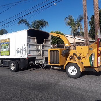 Rivera Tree Service - Weed Abatement - Rivera Tree Service - Tree Services Near Me