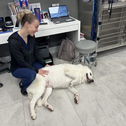 Graceful Paws Pet Clinic - Sasha was so nervous walking into the clinic but that quickly changed!