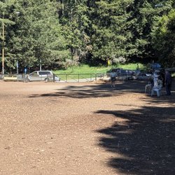 Joaquin Miller Dog Park - I'm in the middle of the park