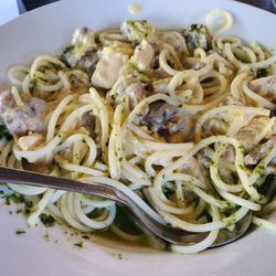 Huhu Cafe - Pasta Chicken Mushrooms