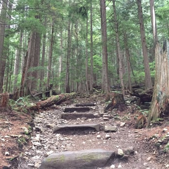 Grouse Mountain - Grouse Grind - Hiking Near Me - North Vancouver, British Columbia