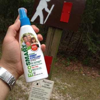 Calvert Cliffs State Park - STRONGLY recommend bug repellent! - Parks Near Me