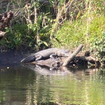 Canoe Outpost-Little Manatee River - Sun bathing - Boating Near Me - Wimauma, Florida Canoe Outpost-Little Manatee River - Sun bathing - Boating Near Me - Wimauma, Florida