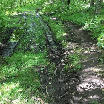Jay Cooke State Park - There will be mud ruts. - Campgrounds Near Me - Carlton, Minnesota