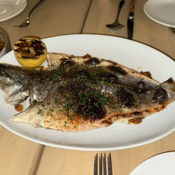 Baleia - Roasted whole fish - Wine Bars Near Me - Boston, Massachusetts