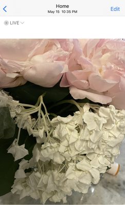 Sada's Flowers💐 by null