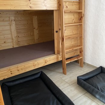 hundeparadies - Hundezimmer "Haus Luchsbüsch" - Apartments Near Me - Jünkerath, RP