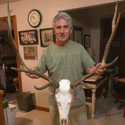 6x6 Bull - Mount by Mile High Taxidermy - Parker, CO