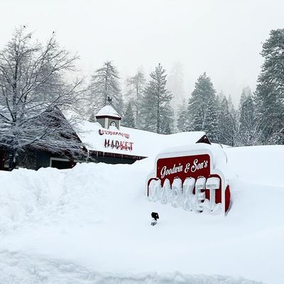 Goodwin & Sons Market by null