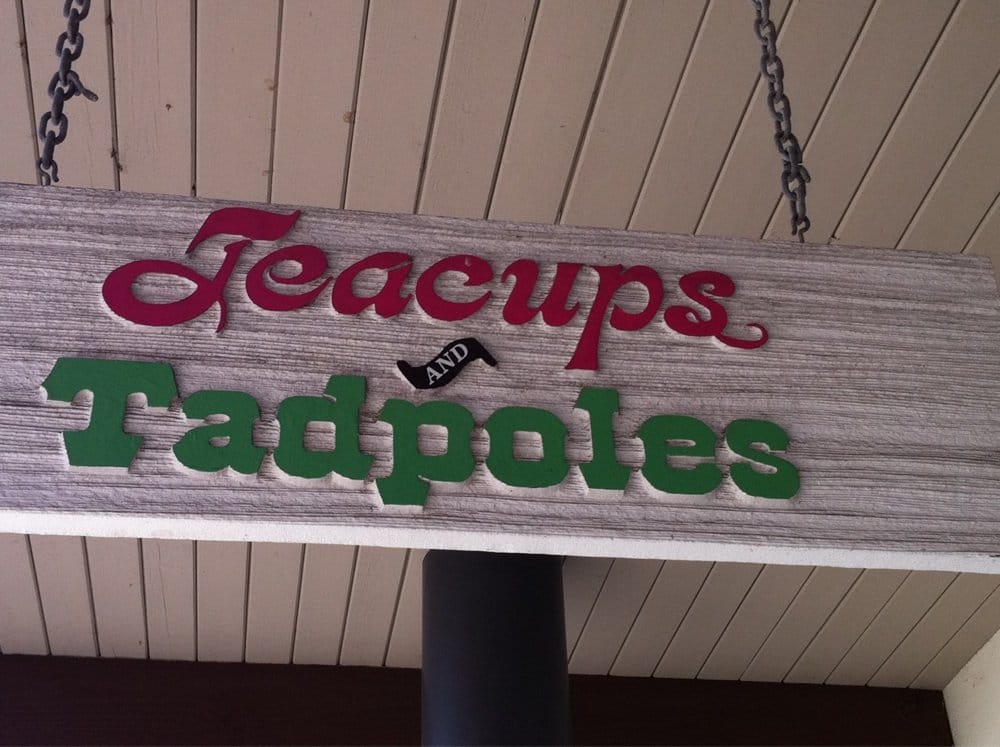 TEACUPS AND TADPOLES Updated July 2024 4775 W Panther Creek Dr, The