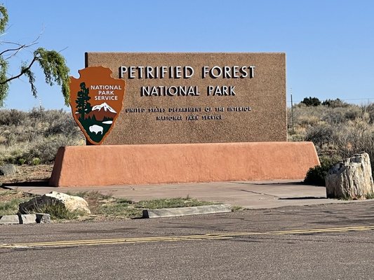 Petrified Forest National Wilderness Area by null
