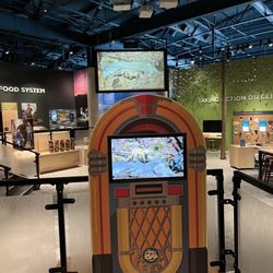 The Wild Center - Easily one of the best climate exhibitions currently at any US museum.