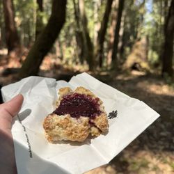Black Oak Coffee Roasters - Can't stop thinking about the jam biscuit